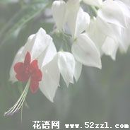 余姚龙吐珠的花语